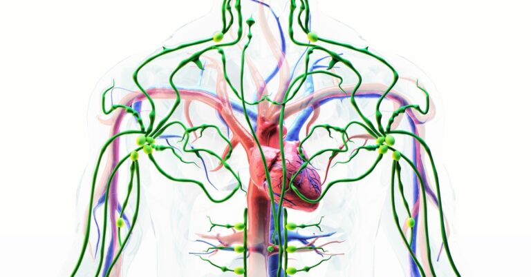 Lymphatic Drainage