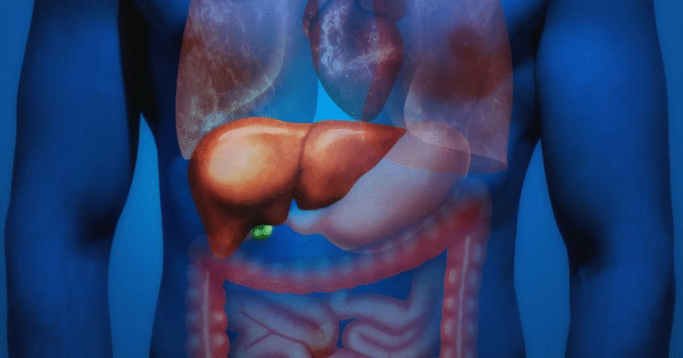 Your Liver Controls Your Hormones More Than You Think Here’s How to Support It Naturally