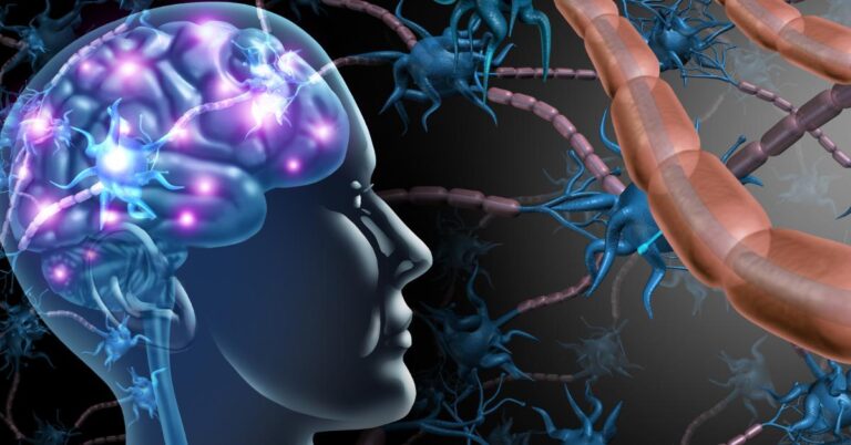 Gut‑Brain Connection
