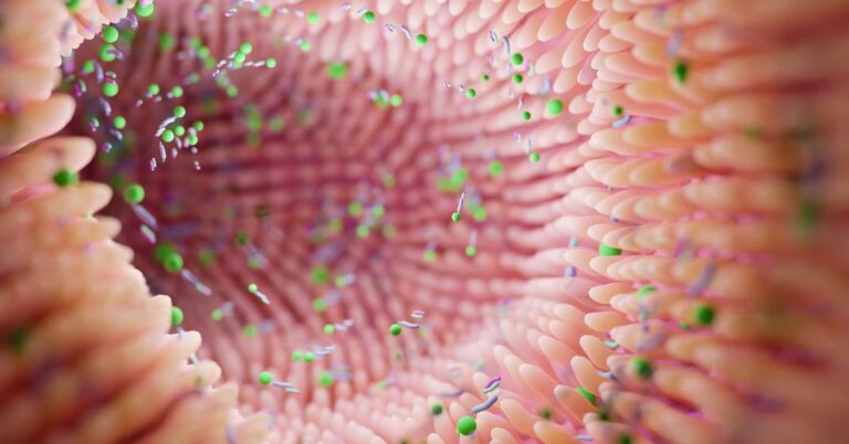 How to Heal Your Gut Fast with Proven Strategies