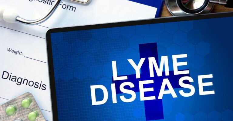 What Is Lyme Disease? The Hidden Infection Spreading Across the US & UK